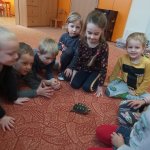 phoca_thumb_m_elva 15 Fotogalerie
